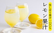 《ビタミンCが豊富!》レモンの生搾り果汁 大容量・業務用1L 香酸柑橘の檸檬果汁 [保存料不使用 濃縮還元なし 非加熱製法 10000円 ワンストップオンライン] TF0790-P00074-[790]