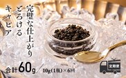『定期便』:6ヶ月　THE・CAVIAR(ザ・キャビア)10g TF0490-P00066