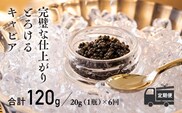 『定期便』:6ヶ月　THE・CAVIAR(ザ・キャビア)20g TF0491-P00066