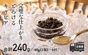 『定期便』:6ヶ月　THE・CAVIAR(ザ・キャビア)40g TF0493-P00066