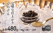 『定期便』:12ヶ月　THE・CAVIAR(ザ・キャビア)40g TF0497-P00066