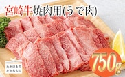宮崎牛焼肉用（うで肉）約750g TF0569-P00012