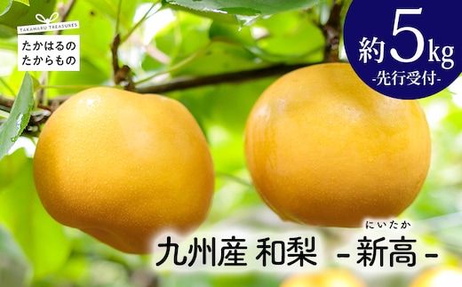 【先行受付・期間限定】九州産 和梨「新高(にいたか)」 5kg TF0313-P00025