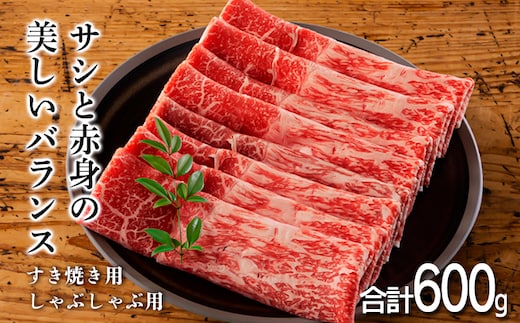 《訳アリ品 受付中！》しゃぶしゃぶ・すき焼きにおすすめ「宮崎牛スライス」600g [黒毛和牛 ブランド牛 国産牛 国産 牛肉 お肉 12000円 1万円台] TF0557-P00020