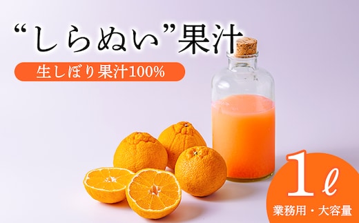 濃厚な甘さ しらぬいの手絞り果汁１L TF816-P00074