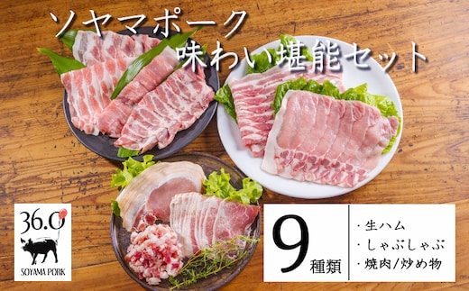 ソヤマポークの味わい堪能セット全9種類(生ハム しゃぶしゃぶ 焼肉・炒め物用) 1.1kg TF830-P00078