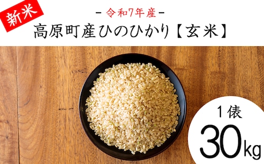【令和7年産・新米】宮崎県高原町産ひのひかり玄米30kg TF0851-P00079