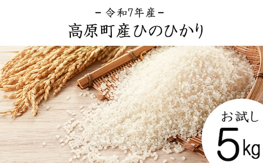 【令和7年産・新米】宮崎県高原町産ひのひかり白米5kg TF0854-P00079