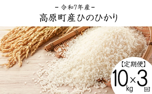 【令和7年産・新米】宮崎県高原町産ひのひかり白米定期便10kg×3ヶ月(計30kg) TF0855-P00079