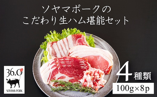 ソヤマポークの生ハム堪能セット TF864-P00078