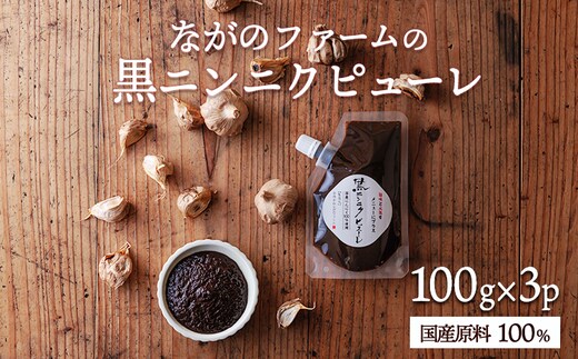 ながのファームの国産 黒にんにくピューレ 300g（100g×3p）TF0891-P00032