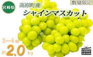 【先行受付・数量限定】久保ぶどう園のシャインマスカット約2kg（3～4房） TF0394-P00005