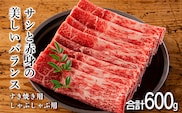 《訳アリ品 受付中！》しゃぶしゃぶ・すき焼きにおすすめ「宮崎牛スライス」600g [黒毛和牛 ブランド牛 国産牛 国産 牛肉 お肉 12000円 1万円台] TF0557-P00020