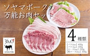 ソヤマポークの万能お肉セット全4種類(バラ2タイプ ロース 肩ロース) 1.1kg TF831-P00078