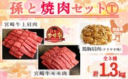 《内閣総理大臣賞受賞》孫と焼肉セットT「宮崎牛モモ肉と上肩肉&国産鶏胸・肩肉 計1,300g」霧島山の麓で育んだ日本一おいしい黒毛和牛 内閣総理大臣賞4回連続受賞[赤身肉 牛肉 鶏肉 詰め合わせ A5ランク A4等級 照り焼き テリヤキ 1.3kg 『返礼品特集20000円以下』-宮崎県高原町] TF0577-P00012