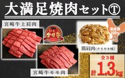 大満足焼肉Tセット 1.3kg TF0578-P00012
