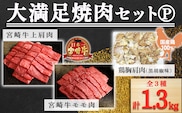 大満足焼肉Pセット 1.3kg TF0580-P00012