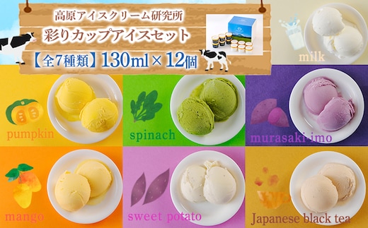 高原アイスクリーム研究所 カップアイス12個セット TF0300-P00023