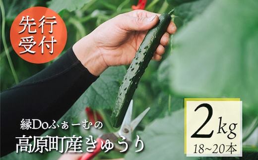 【先行受付10月収穫分】縁Doふぁーむのきゅうり2kg TF0905-P00082