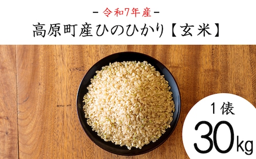 【令和7年産】宮崎県高原町産ひのひかり玄米30kg TF0851-P00079
