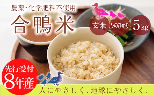 【先行予約】令和8年産 無農薬栽培 合鴨米ひのひかり(玄米)5kg [2026年産 ワンストップオンライン対応] TF0424-P00029