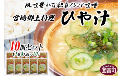 ＜宮崎郷土料理 冷や汁 10個セット＞翌月末迄に順次出荷【0043_ko】