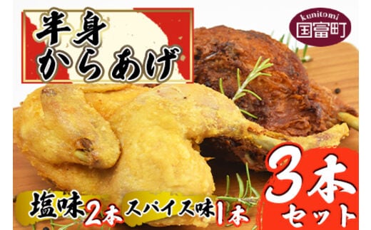 ＜半身からあげ3本セット(塩味×2本 スパイス味×1本)＞準備でき次第翌々月までに順次発送【a0031_hi】