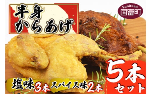 ＜半身からあげ5本セット(塩味×3本 スパイス味×2本)＞準備でき次第翌々月までに順次発送【a0032_hi】