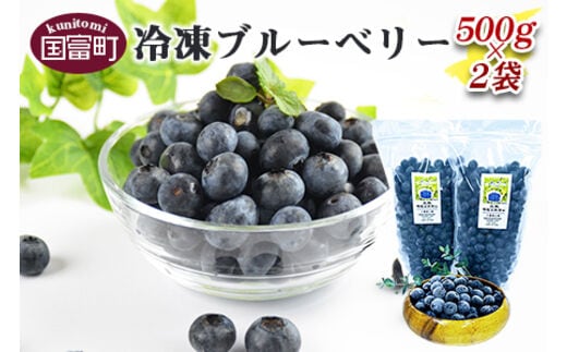 ＜冷凍ブルーベリー(500g×2袋)＞翌月末迄に順次出荷【b0135_ye】