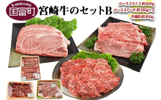 ＜宮崎牛のセットB＞翌月末迄に順次出荷【0147_sb】