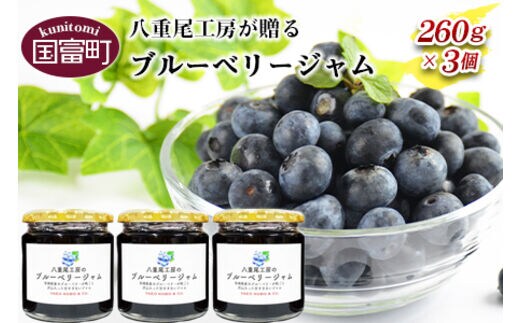 ＜ブルーベリージャム 260g×3個＞翌月末迄に順次出荷【a0189_ye_x1】