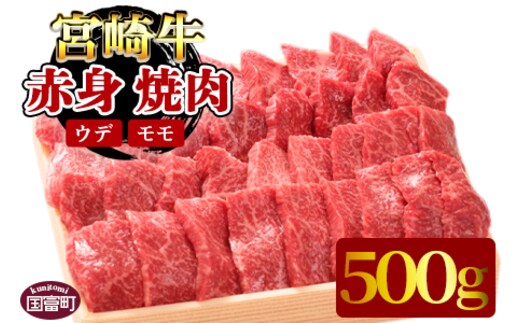 ＜宮崎牛赤身（ウデ・モモ）焼肉 500g＞翌月末迄に順次出荷【a0298_em_x3】