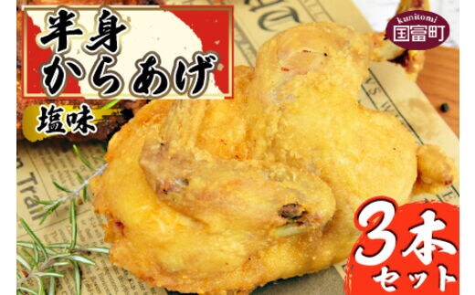 ＜半身からあげ（塩味）3本セット＞準備でき次第翌々月までに順次発送【a0305_hi】