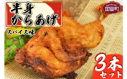 ＜半身からあげ（スパイス味）3本セット＞準備でき次第翌々月までに順次発送【a0306_hi】