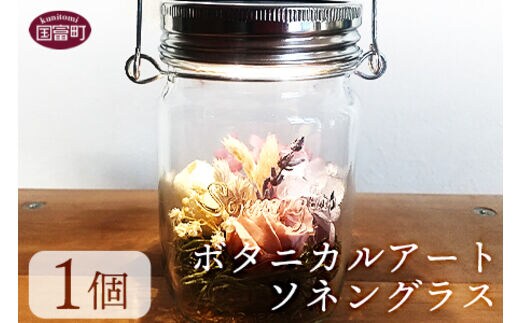 ＜ボタニカルアート ソネングラス＞翌月末迄に順次出荷【0348_at_x4】