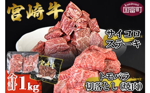 ＜宮崎牛サイコロステーキ ＆ 宮崎牛トモバラ切落とし（焼肉）合計1.0kg＞翌月末迄に順次出荷【a0382_ty】