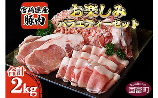 ＜宮崎県産豚肉 《お楽しみ》バラエティーセット 合計2.0kg＞翌月末迄に順次出荷【b0387_ty】