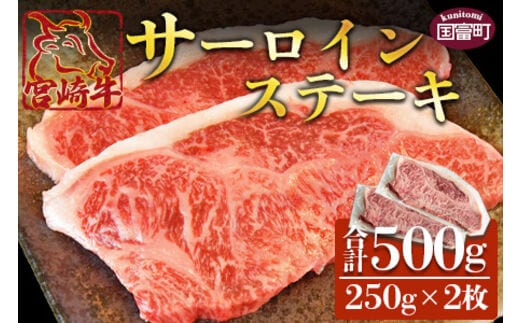 ＜宮崎牛 サーロインステーキ 250g×2枚＞翌月末迄に順次出荷【a0332_ty】