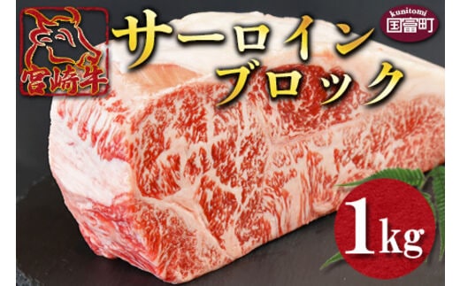 ＜宮崎牛 サーロインブロック 1kg＞翌月末迄に順次出荷【a0333_ty】