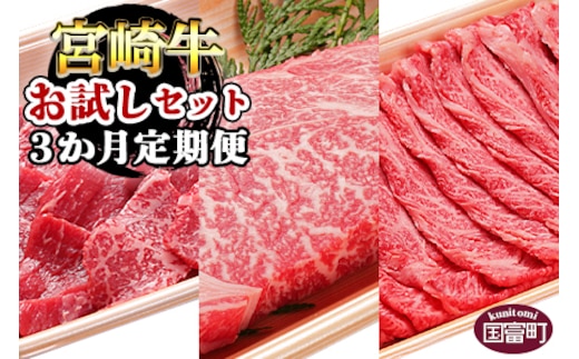 ＜3か月定期便 宮崎牛お試しセット＞翌月末迄に第一回目発送【a0320_em_x3】