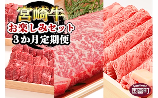 ＜3か月定期便 宮崎牛お楽しみセット＞翌月末迄に第一回目発送【a0321_em_x3】