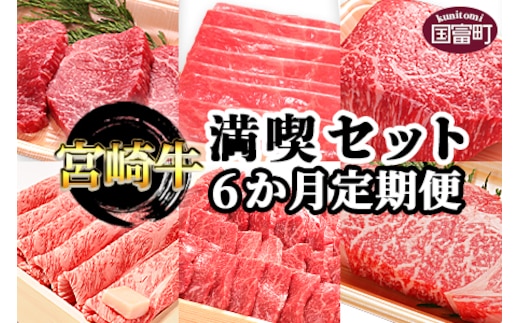 ＜6か月定期便 宮崎牛満喫セット＞翌月末迄に第一回目発送【a0322_em_x3】