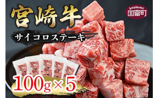 ＜宮崎牛 サイコロステーキ 合計500g（100g×5)＞翌月末迄に順次出荷【a0334_ty】