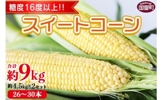 数量限定【2026年発送】＜宮崎県産 スイートコーン 約9kg（約4.5kg×2箱）＞2026年5月下旬～6月中旬迄に順次出荷【 先行予約 穀物 野菜 甘い 季節限定 とうもろこし おやつ ご飯 スープ サラダ BBQ 屋台 】【a0451_ja】