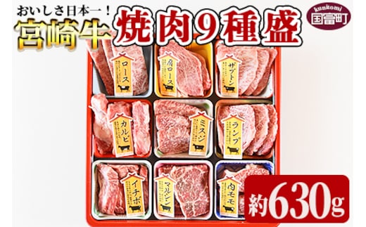 ＜宮崎牛焼肉9種盛（約630g）＞翌月末迄に順次出荷【b0479_em】