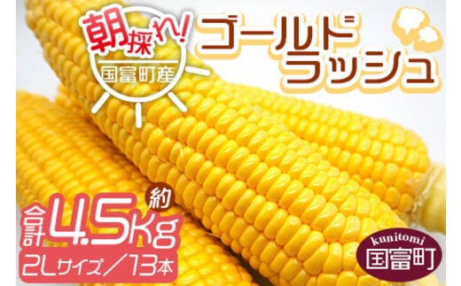 予約受付！＜朝採れ！国富町産ゴールドラッシュ4.5kg2Lサイズ13本＞2026年5月下旬～7月上旬迄に順次出荷【 とうもろこし スイートコーン 先行予約 野菜 穀物 甘い トウモロコシ 季節物 数量限定 とうきび コーン 】【a0578_sn】