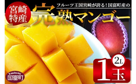 ＜宮崎特産！国富町産の完熟マンゴー 1玉（2L）＞2026年3月下旬～6月下旬迄に順次出荷【a0592_as】