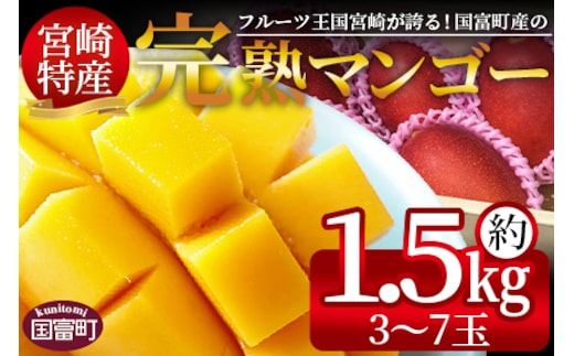 ＜宮崎特産！国富町産の完熟マンゴー 3～7玉（約1.5kg）＞2026年3月下旬～6月下旬迄に順次出荷【a0591_as】
