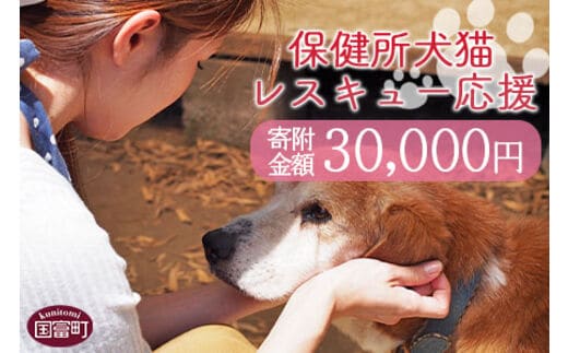 ＜保健所犬猫レスキュー【返礼品なしのご寄附】＞寄付金額30,000円※お礼状をお送りいたします。【0623_in】