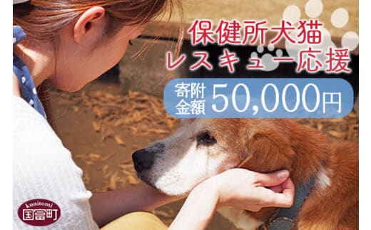 ＜保健所犬猫レスキュー【返礼品なしのご寄附】＞寄付金額50,000円※お礼状をお送りいたします。【a0624_in】